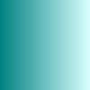 Teal Colored Shades